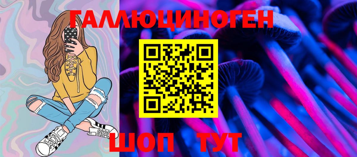 Галлюциногенные грибы GOLDEN TEACHER Кулебаки